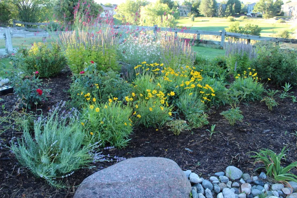 Expert lawn care service experts serving Arvada, CO - My Gardener, LLC