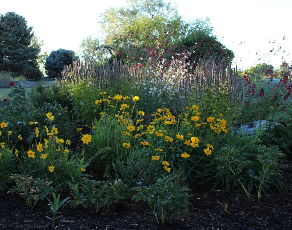 Reliable outdoor landscaping in Arvada, CO - My Gardener, LLC