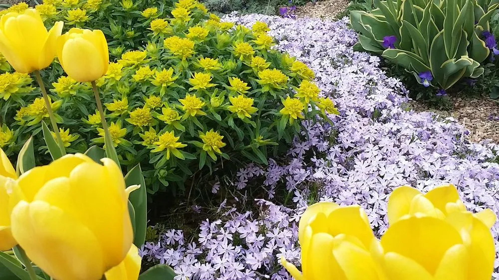 Expert outdoor landscaping in Arvada, CO - My Gardener, LLC