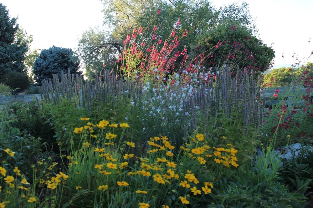 Professional yard maintenance in Arvada, CO - My Gardener, LLC