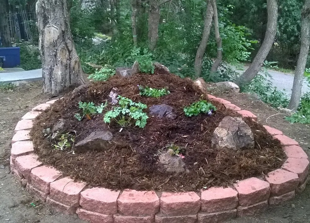 Professional landscaping services experts serving Arvada, CO - My Gardener, LLC