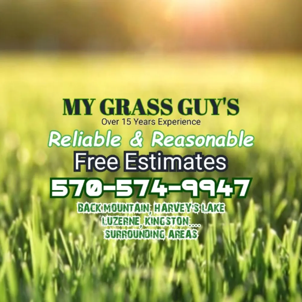 Affordable landscape design in Dallas, PA - My Grass Guys