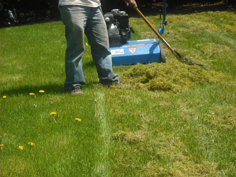 Top-rated landscaping services for year-round maintenance across Gresham, OR - My Green Pros