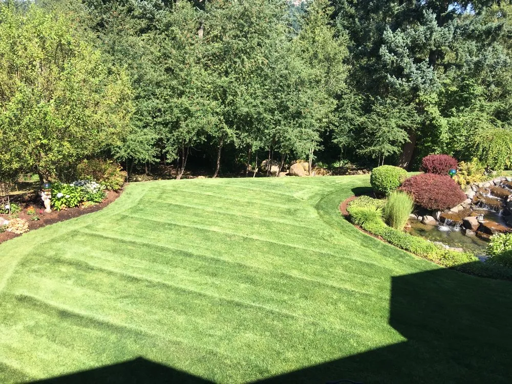 Professional yard cleanup service for beautiful yards across Gresham, OR - My Green Pros