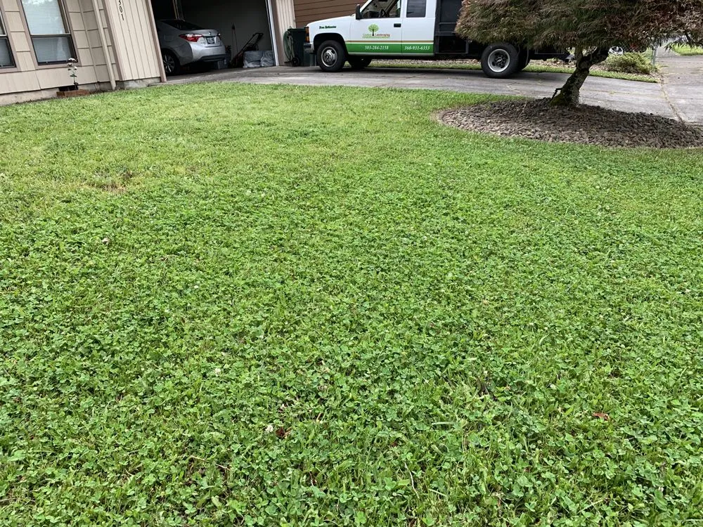 Custom landscaping services in Gresham, OR - My Green Pros