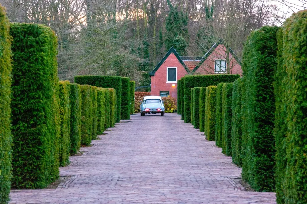 Reliable landscape design in Gresham, OR - My Green Pros