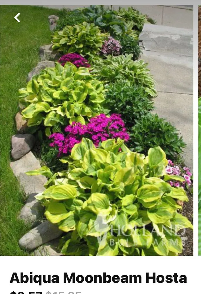 Local lawn care service experts serving Aiken, SC - My Green Thumb