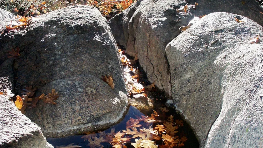 Expert yard maintenance in Magalia, CA by My Ground