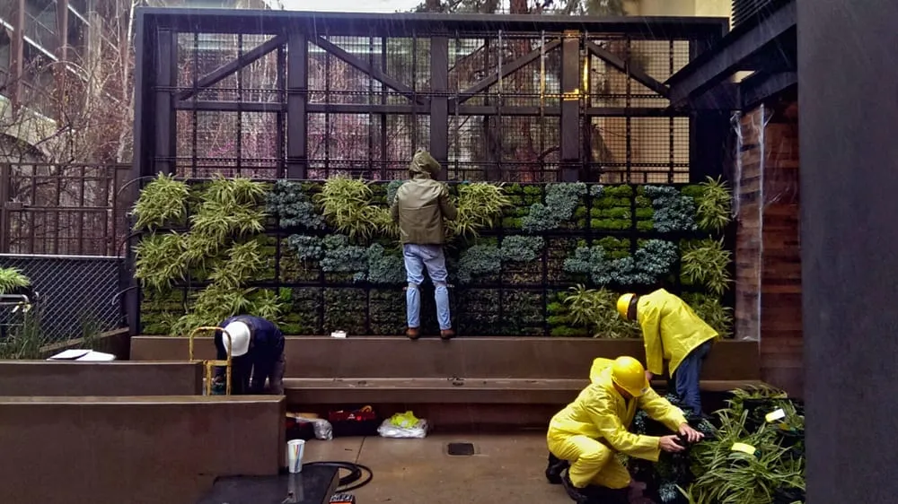 Trusted landscape installation for outdoor upgrades in Magalia, CA by My Ground