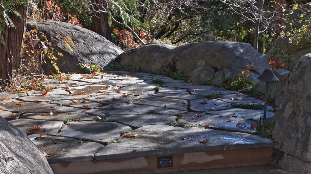 Trusted landscaping services for beautiful yards in Magalia, CA by My Ground