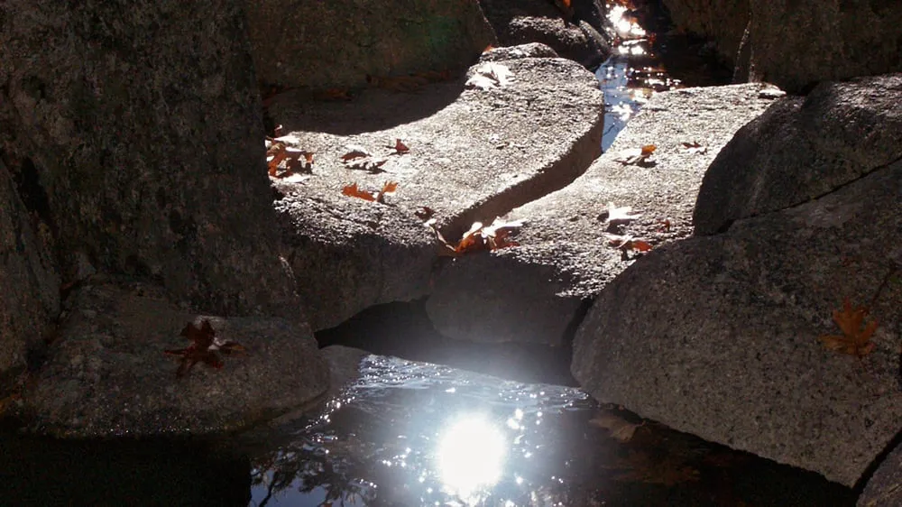 Professional yard maintenance experts serving Magalia, CA - My Ground