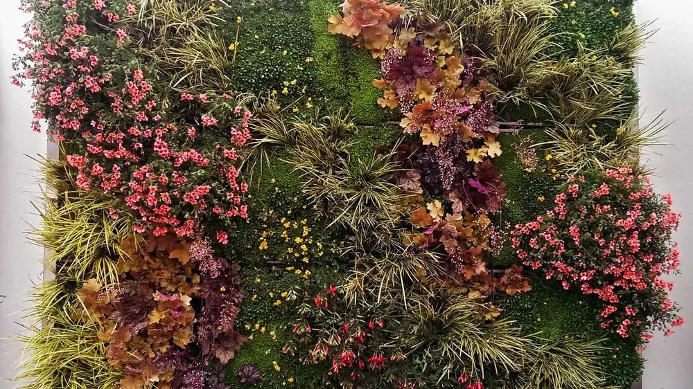 Custom lawn care service for homes in Magalia, CA by My Ground