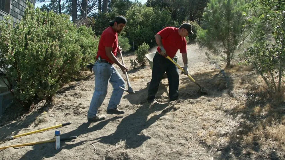 Custom yard cleanup service in Magalia, CA - My Ground
