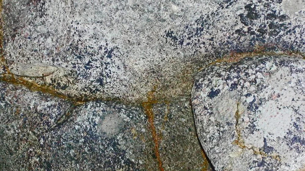 Trusted outdoor landscaping for homes across Magalia, CA - My Ground