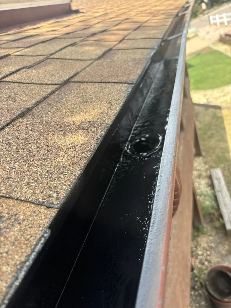 Custom landscaping services for beautiful yards in Colorado Springs, CO by My Guy Kyle Handyman Service