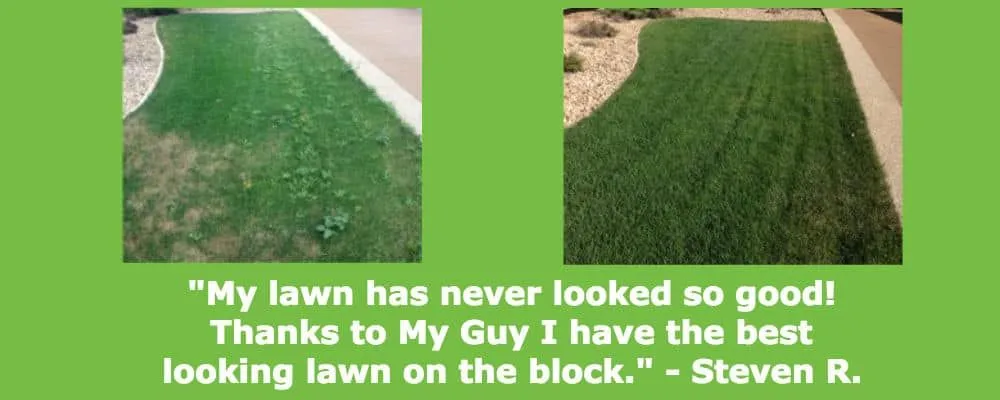 Professional outdoor landscaping experts serving Orem, UT - My Guy Pest and Lawn Solutions