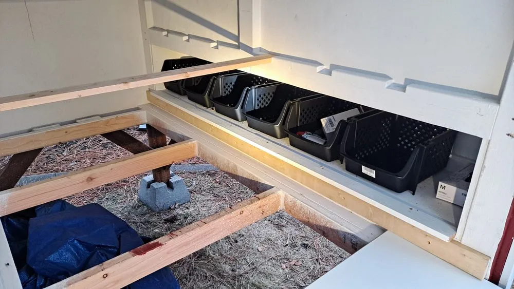 Expert yard cleanup service in Spokane Valley, WA - My Guy Ty