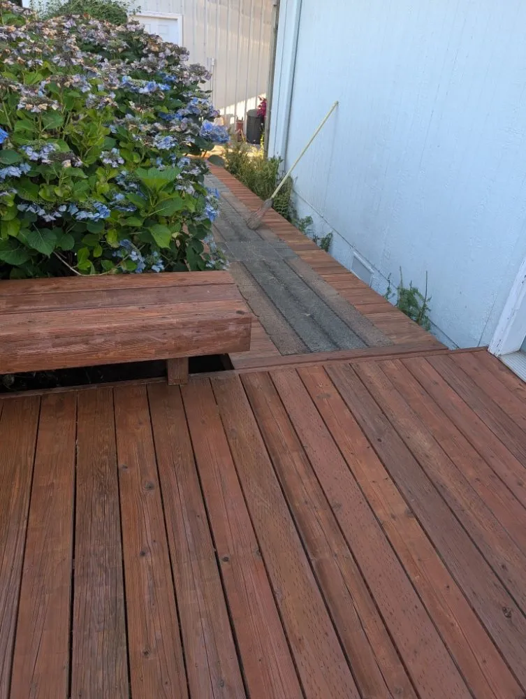 Expert lawn mowing service with custom design in Montesano, WA by My Guys Home Services