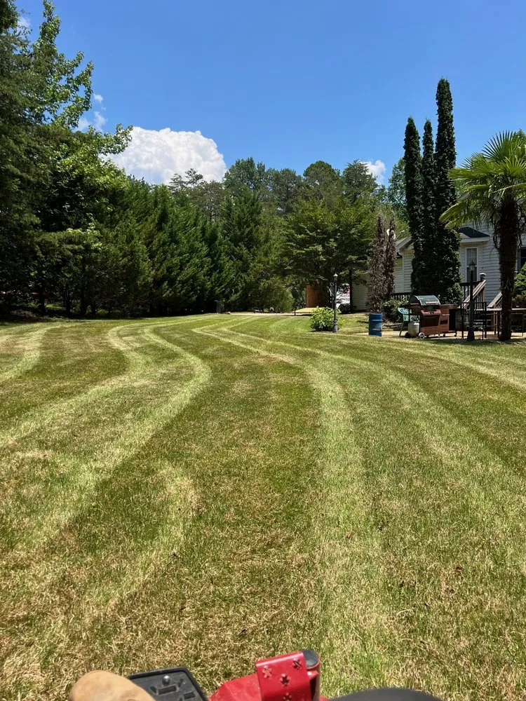 Trusted lawn care service for beautiful yards across Dallas, NC - My Home Project Pro