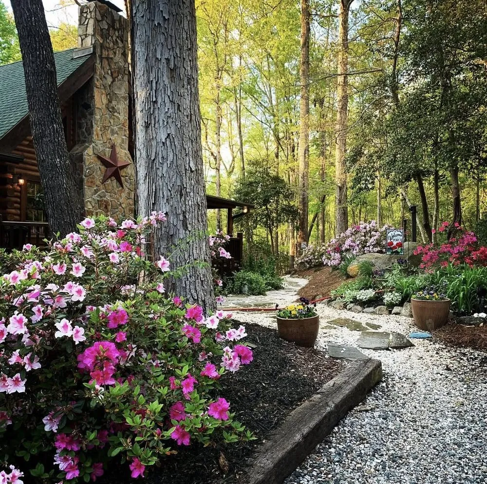 Top-rated lawn mowing service near you across Dallas, NC - My Home Project Pro