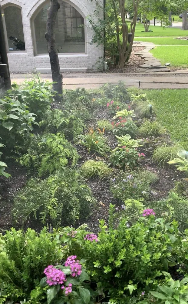 Professional yard cleanup service in Dallas, TX - My Irrigation Now