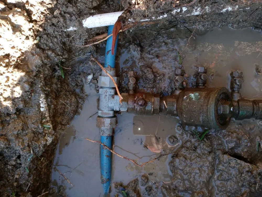 Professional landscaping services in Dallas, TX by My Irrigation Now