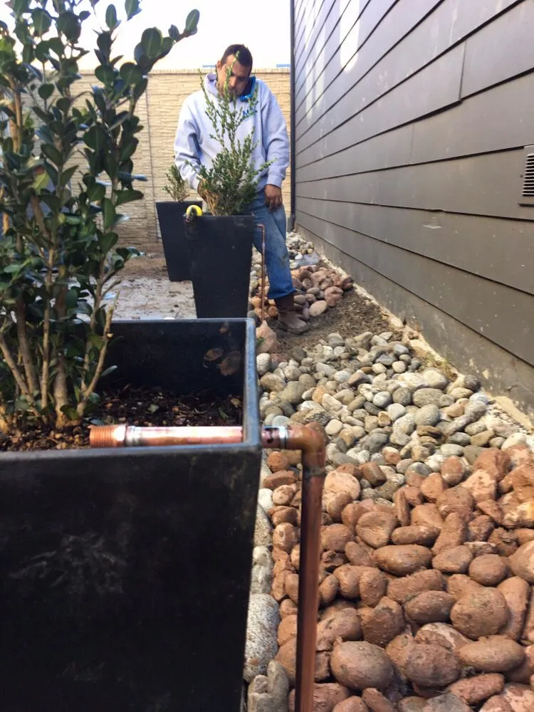 Trusted landscaping services for residential properties across Dallas, TX - My Irrigation Now