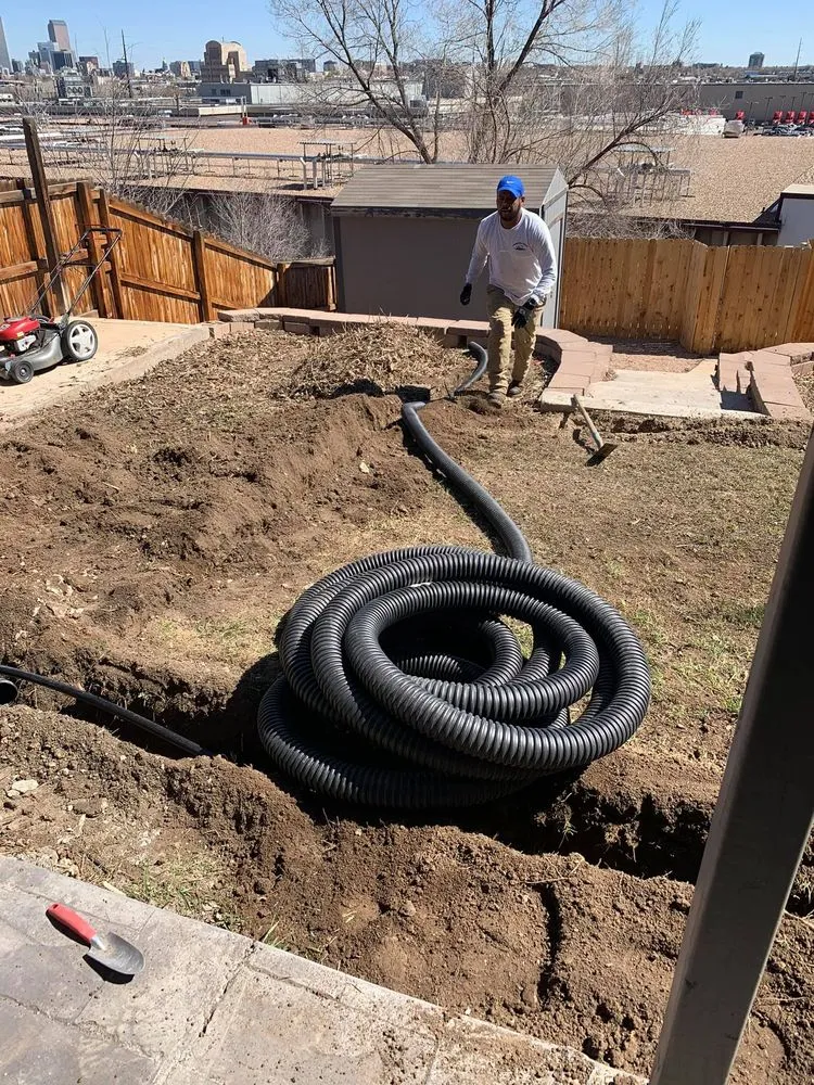 Expert yard maintenance experts serving Brighton, CO - My LA Landscaping