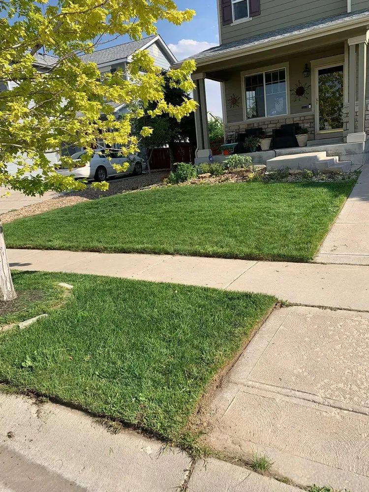 Affordable lawn mowing service for outdoor upgrades in Brighton, CO by My LA Landscaping