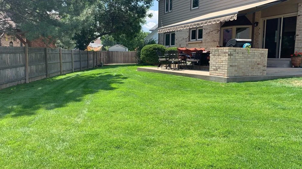 Reliable lawn mowing service experts serving Brighton, CO - My LA Landscaping