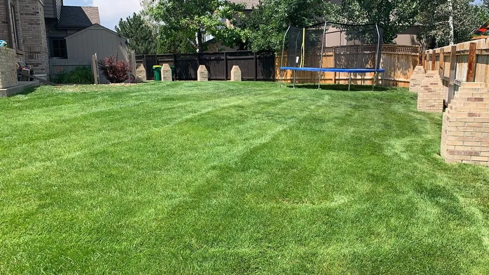 Trusted landscaping services for residential properties across Brighton, CO - My LA Landscaping