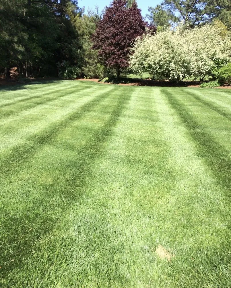 Top-rated lawn mowing service for outdoor upgrades in Acworth, GA by MY Landscape Co