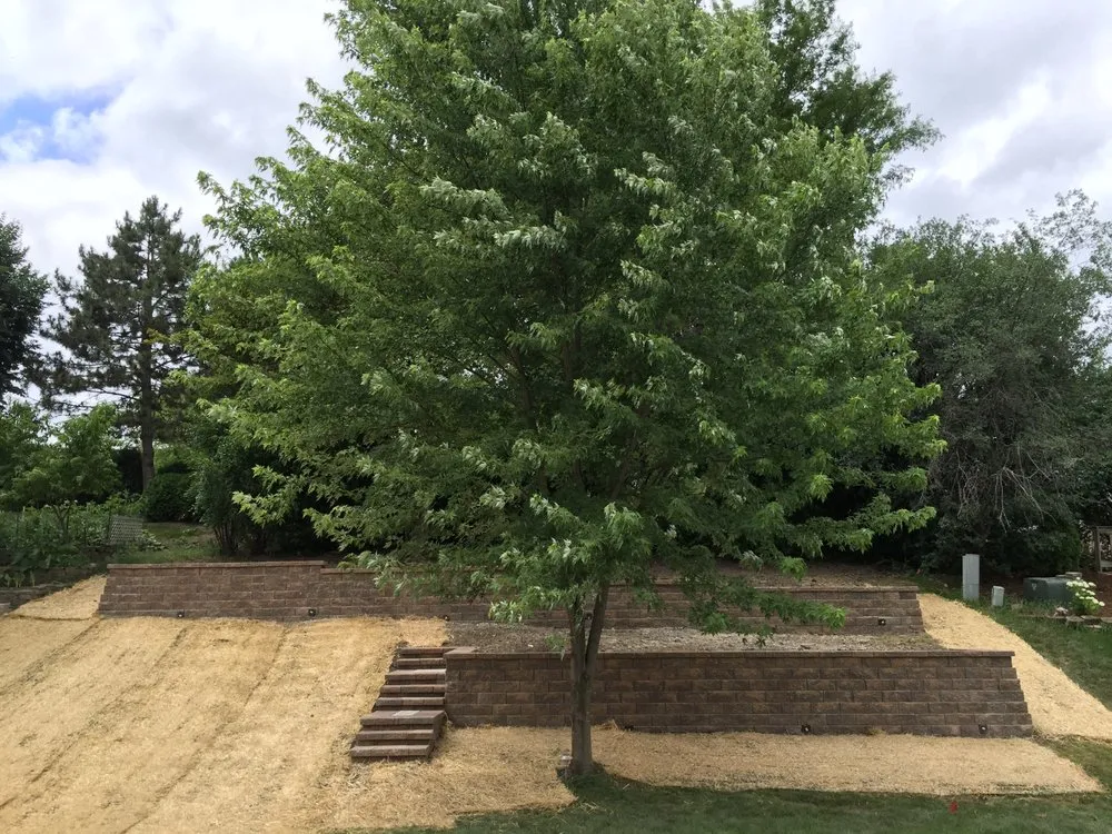 Local landscape design in West Chicago, IL - My Landscape Contractor