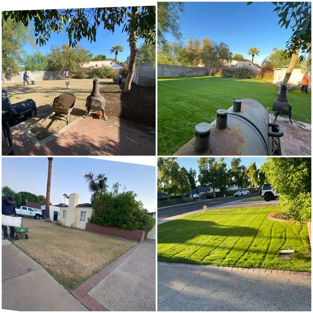 Custom landscape design in Peoria, AZ by My Landscaper