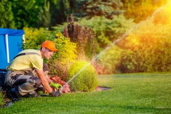 Trusted lawn care service experts serving Phenix City, AL - My Landscaper