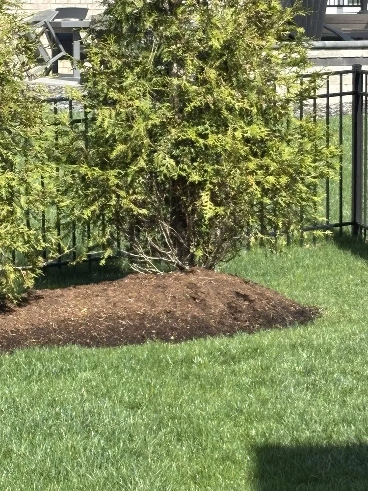Reliable garden landscaping in Spring Valley, OH - My Lawn & Landscaping Company