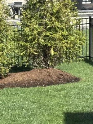 My Lawn & Landscaping Company