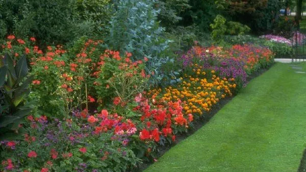 Custom outdoor landscaping for outdoor upgrades across Williamstown, NJ - My Lawn Care & Landscaping