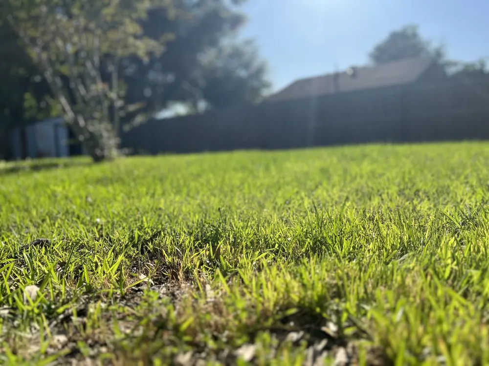 Custom landscaping services experts serving Port Allen, LA - My Lawn Company