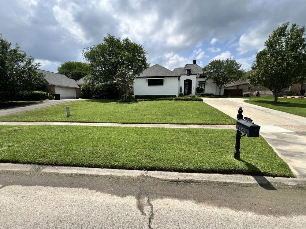 Reliable yard cleanup service for residential properties in Port Allen, LA by My Lawn Company