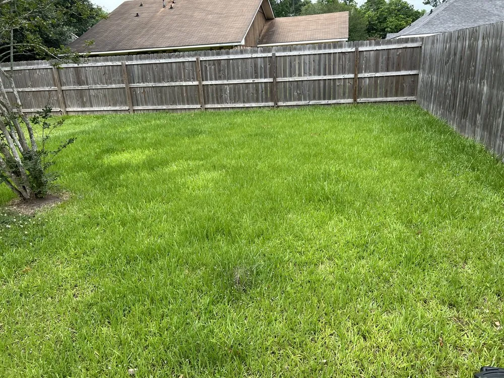 Custom lawn mowing service for homes in Port Allen, LA by My Lawn Company