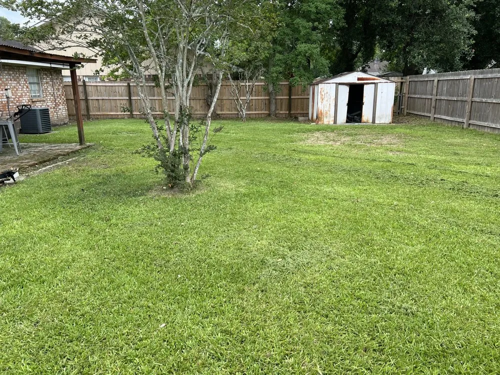 Top-rated residential landscaping experts serving Port Allen, LA - My Lawn Company