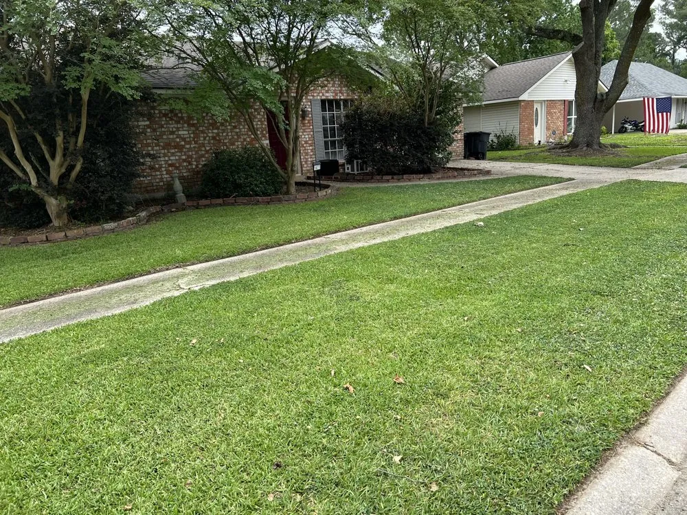 Top-rated yard maintenance experts serving Port Allen, LA - My Lawn Company