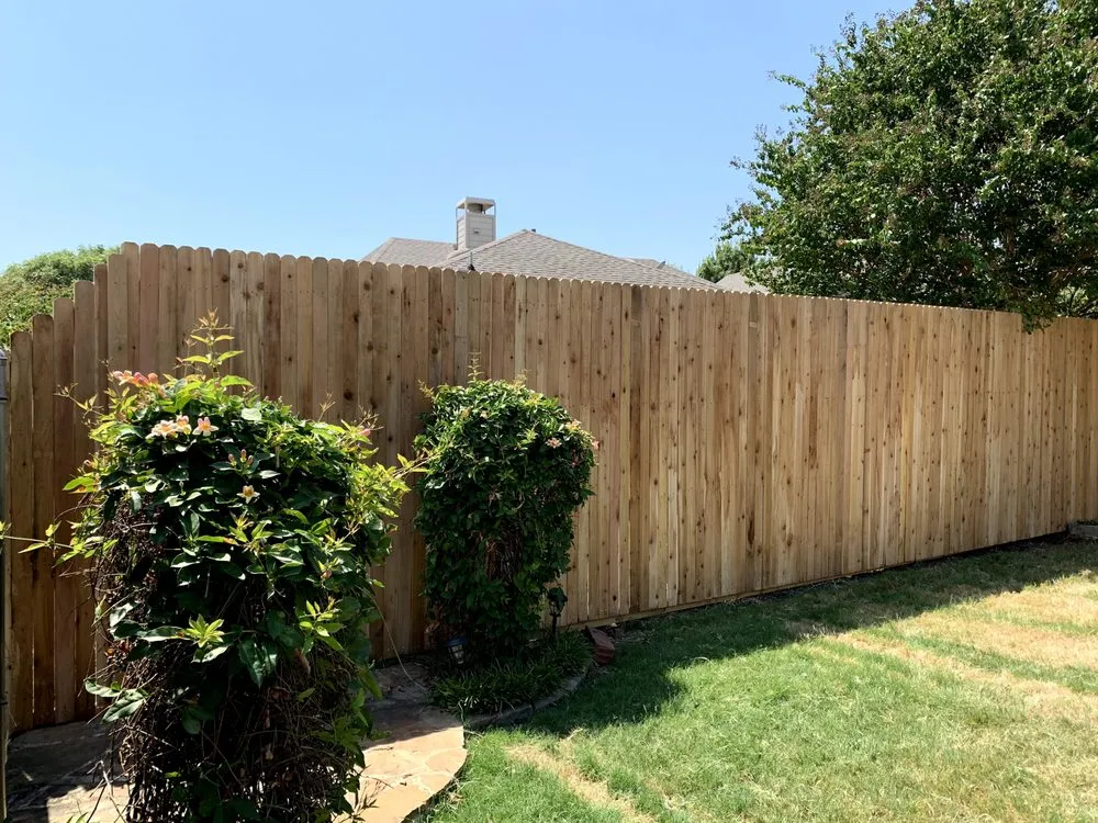 Top-rated yard maintenance in DeSoto, TX by My Lawn DFW