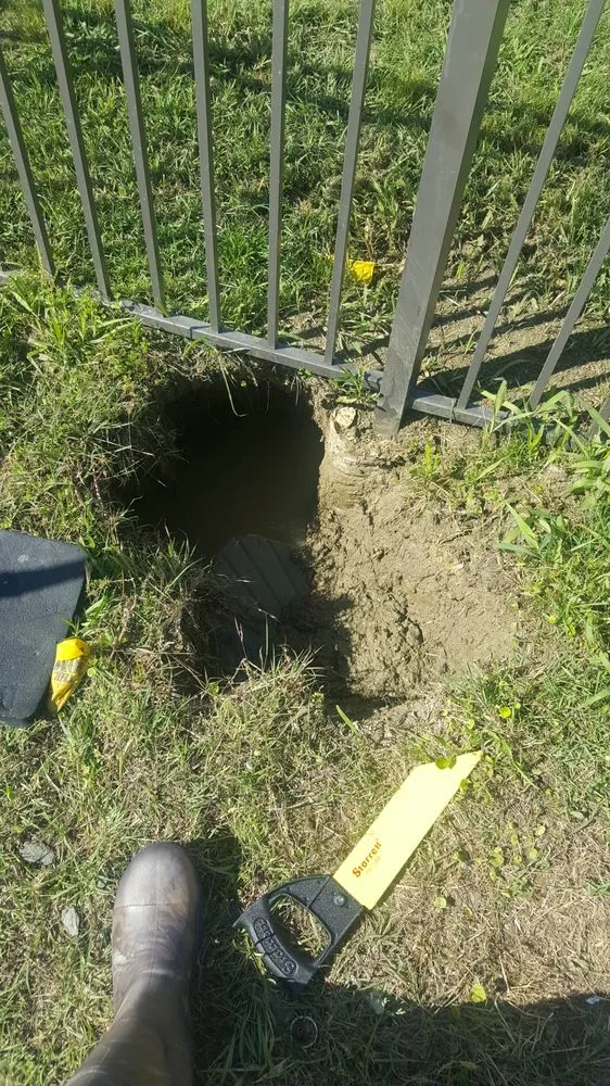 Reliable landscaping services experts serving DeSoto, TX - My Lawn DFW