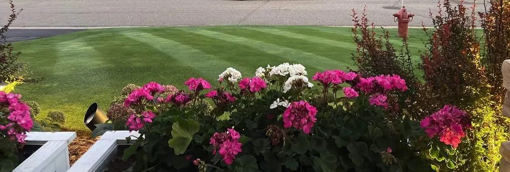 Affordable lawn care service for beautiful yards in Lakeville, MN by My Lawn Guy