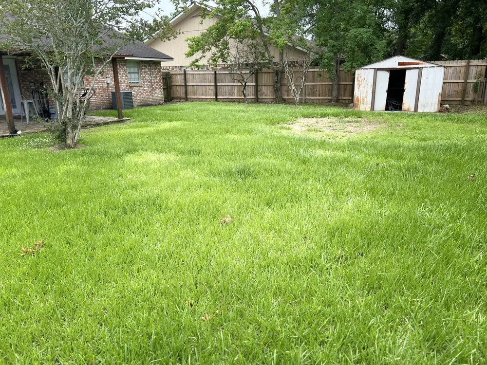 Professional lawn care service for residential properties in Port Allen, LA by My Lawn