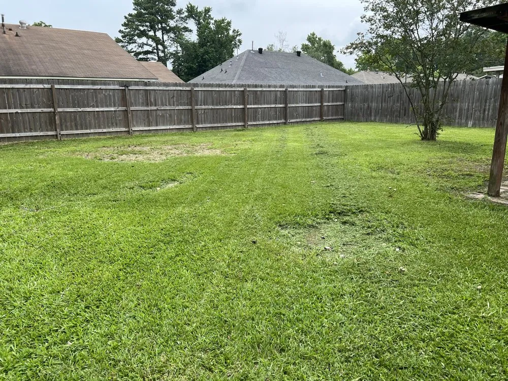 Expert landscape installation near you in Port Allen, LA by My Lawn