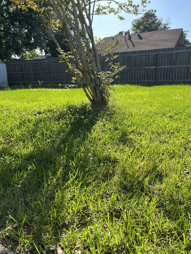 Local landscape design for year-round maintenance in Port Allen, LA by My Lawn