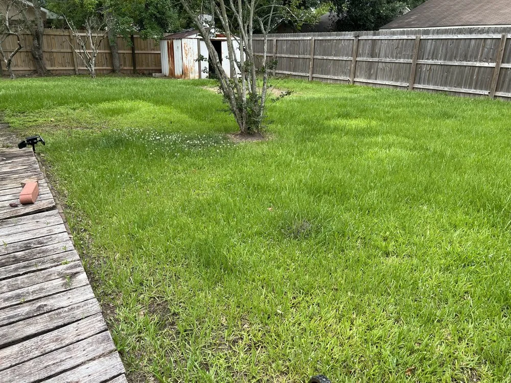 Local outdoor landscaping with custom design across Port Allen, LA - My Lawn